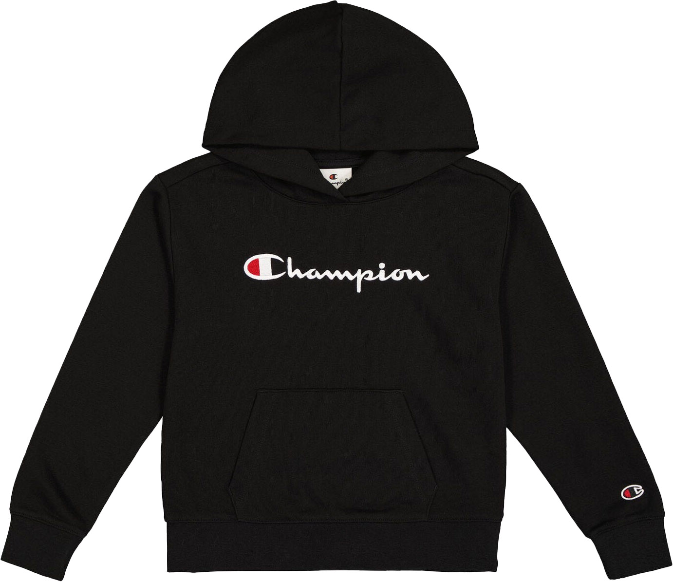 Big Logo Icons Hooded Sweatshirt Jente Black Beauty