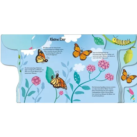 Carlsen Verlag Von Raupe zum Schmetterling