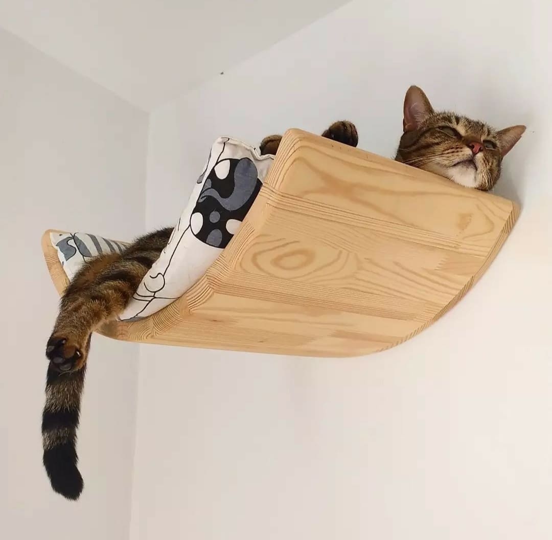 Cama curva