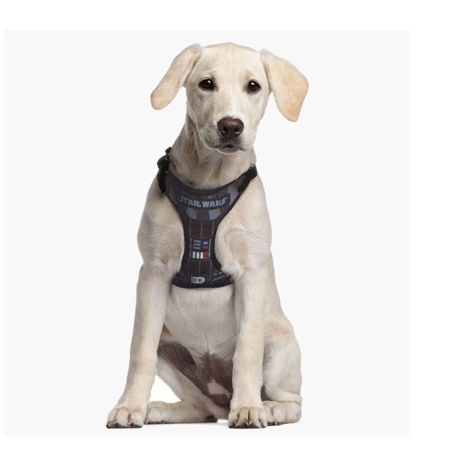 Coleira para cães com estampa de Star Wars da Disney