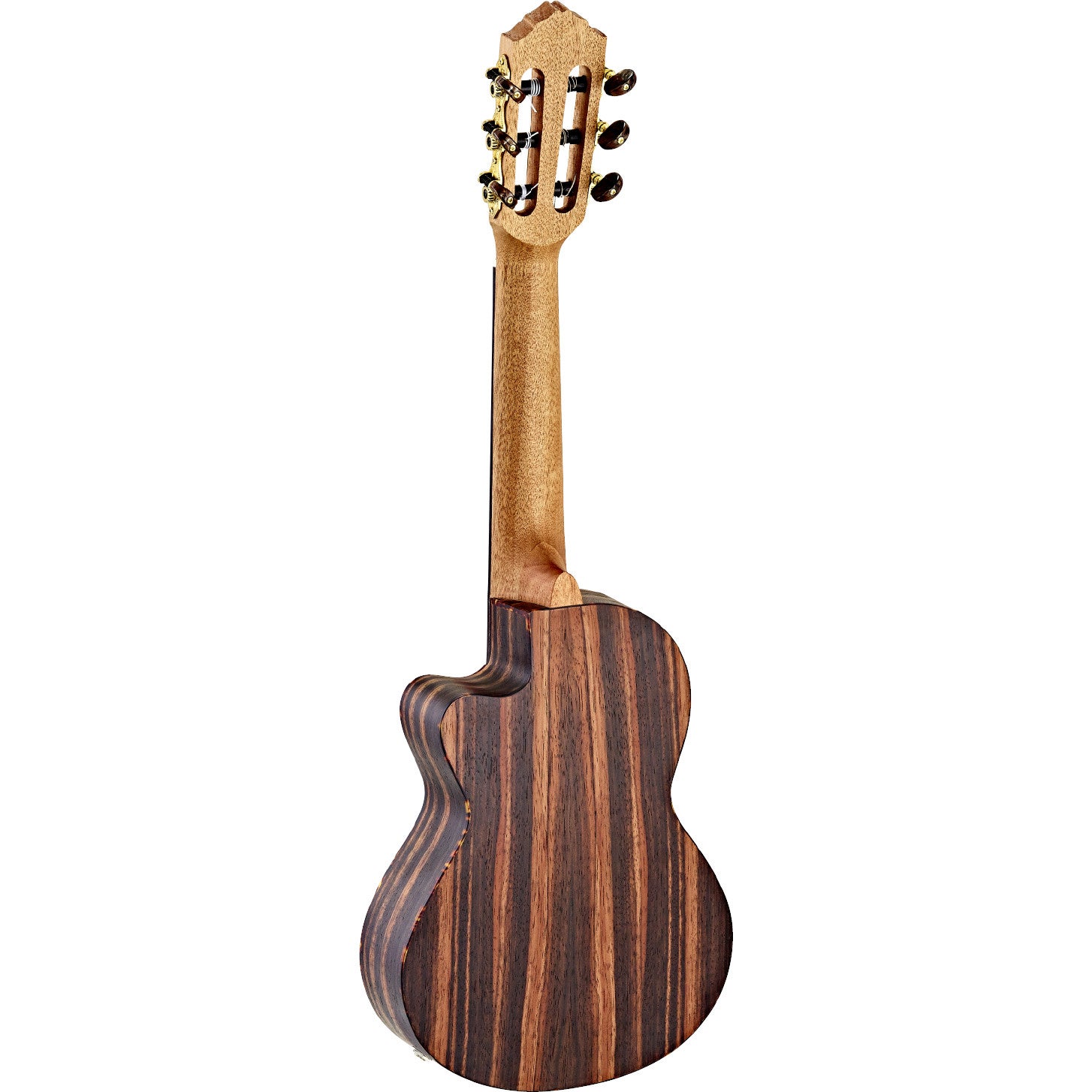 Ortega Timber Series RGL5EB-CE guitarlele