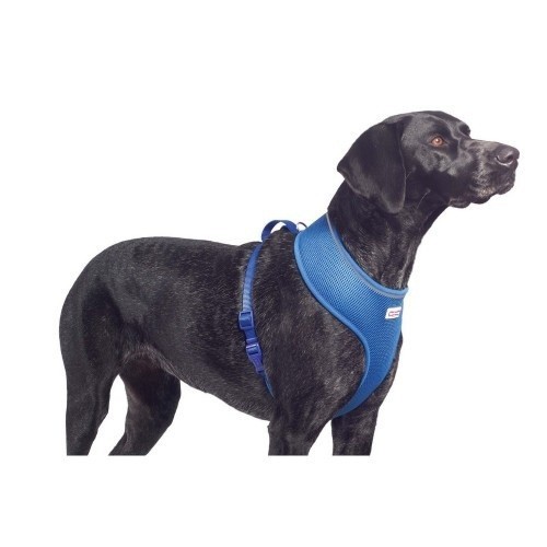 Coleira de malha azul para cães