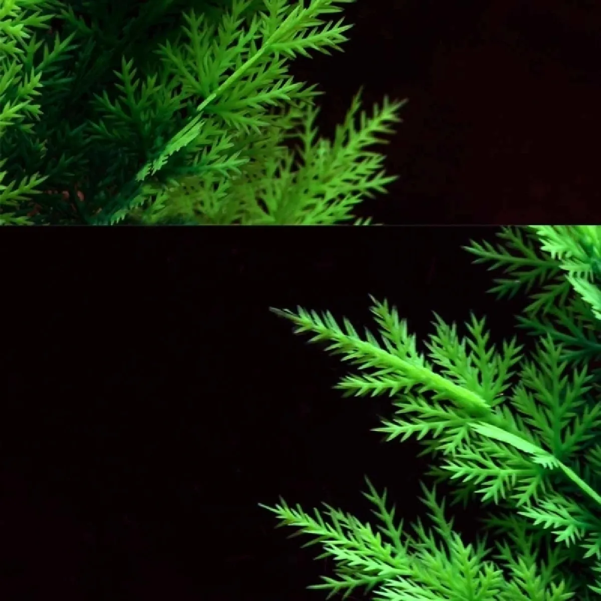 Wewoo Décoration arbre artificiel aquarium