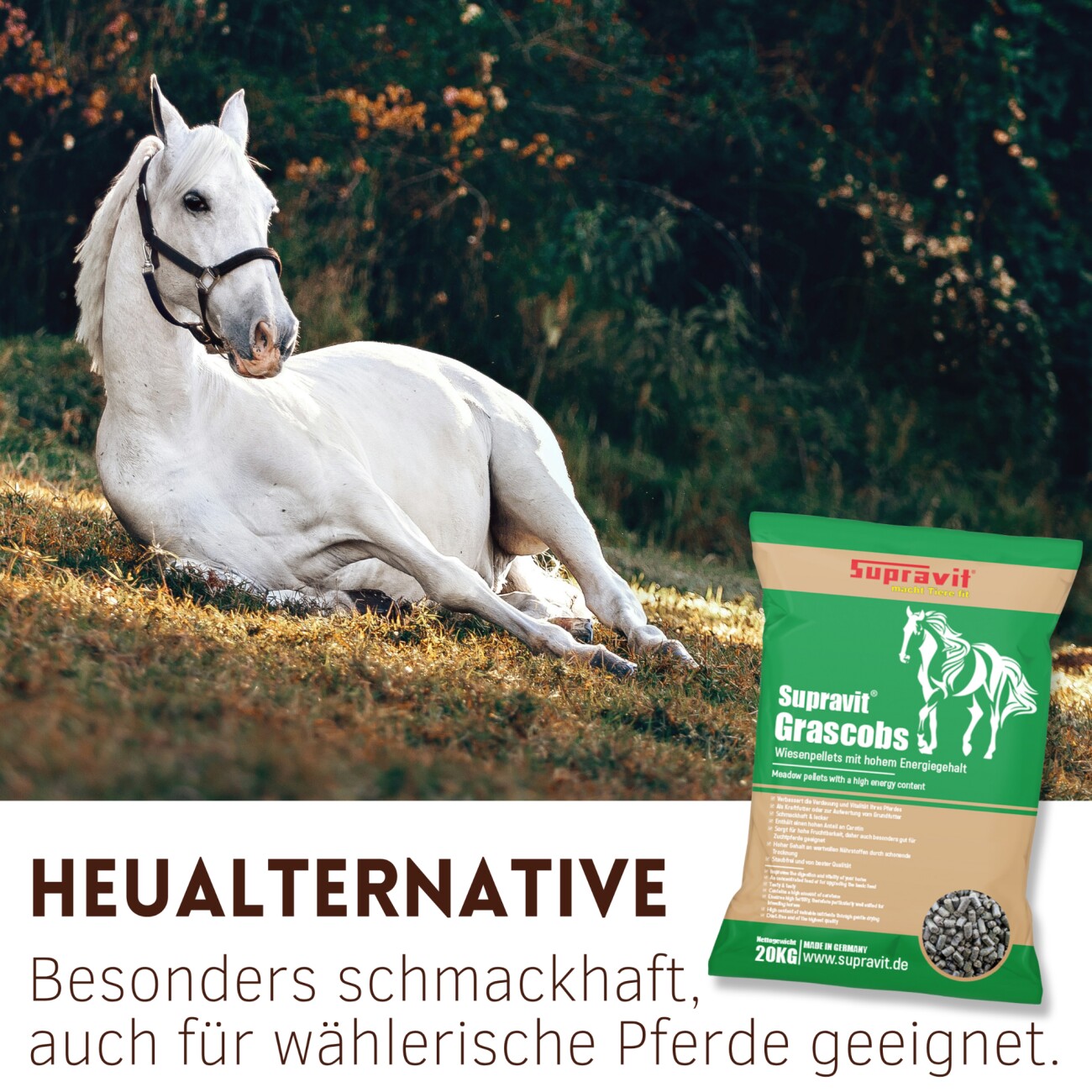 Supravit Grascobs für Pferde 20kg | natürliche Graspellets als Heuersatz | Wiesencobs für Pferde mit hohem Energiegehalt | Pferdefutter Heucobs aus frischem Gras