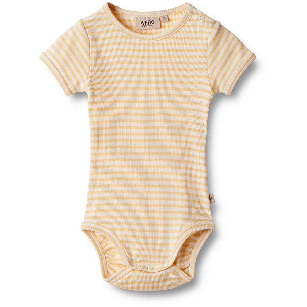 Køb Wheat Apricot Stripe Body S/S Elisa