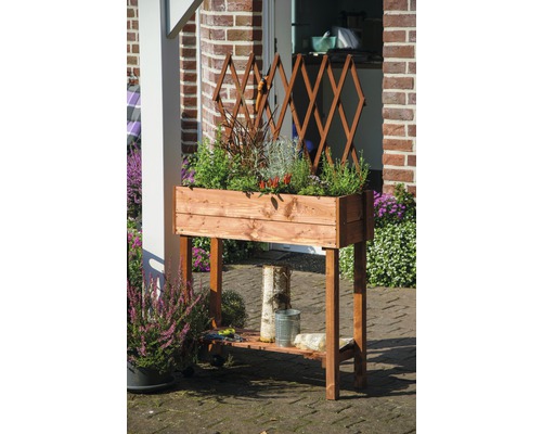 Verhoogd tuinbed op palen met trellis, mobiel, 79 x 28,5 x 130 cm, bruin gebeitst