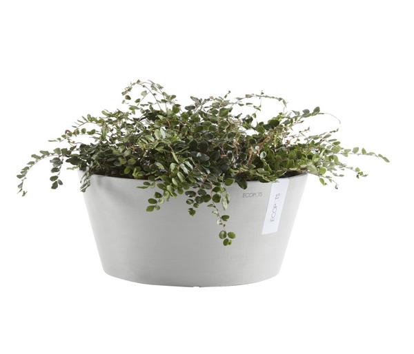 Ecopots Kunststoff-Topf Frankfurt, rund