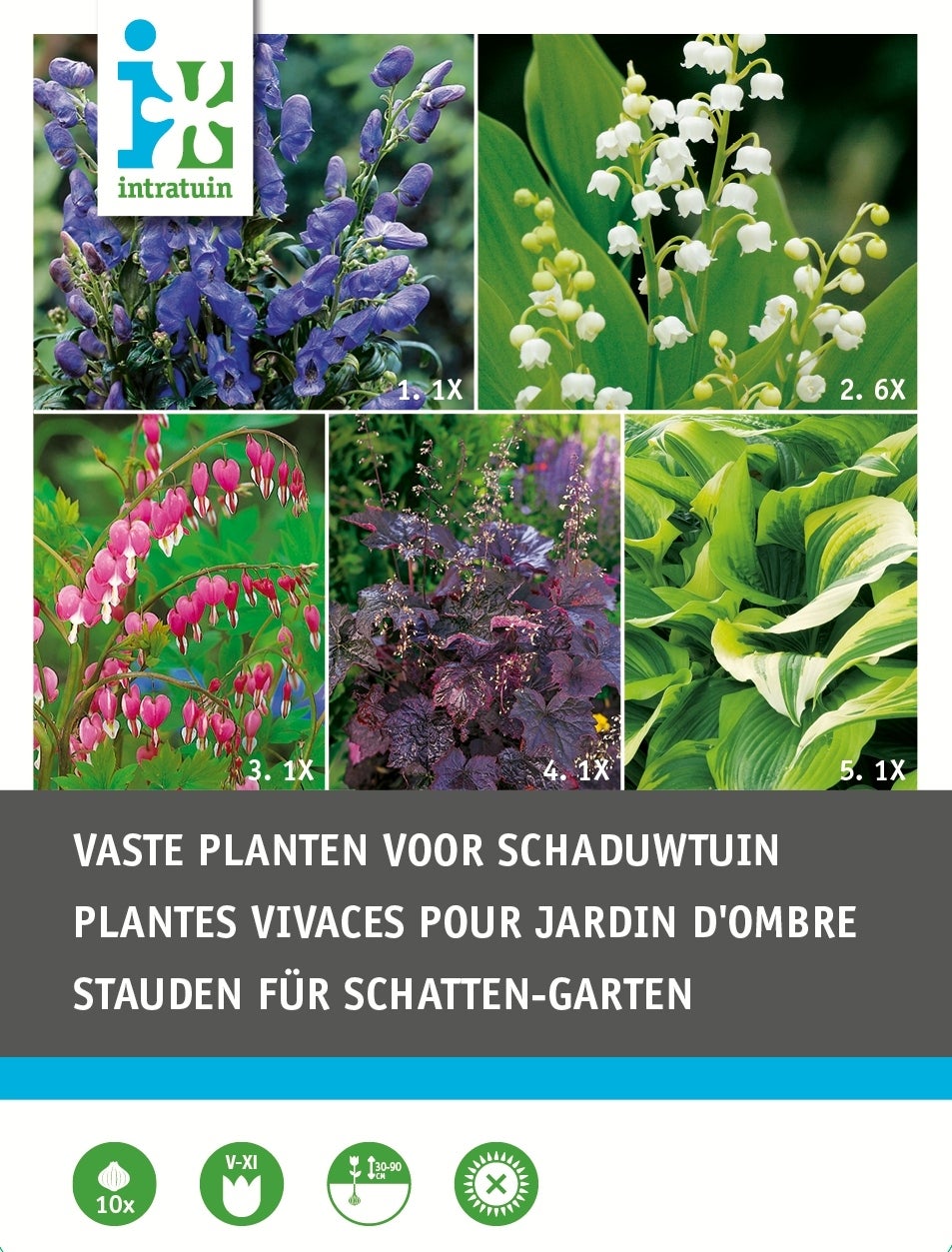 Intratuin vaste plant schaduwtuin gemengd 10 stuks