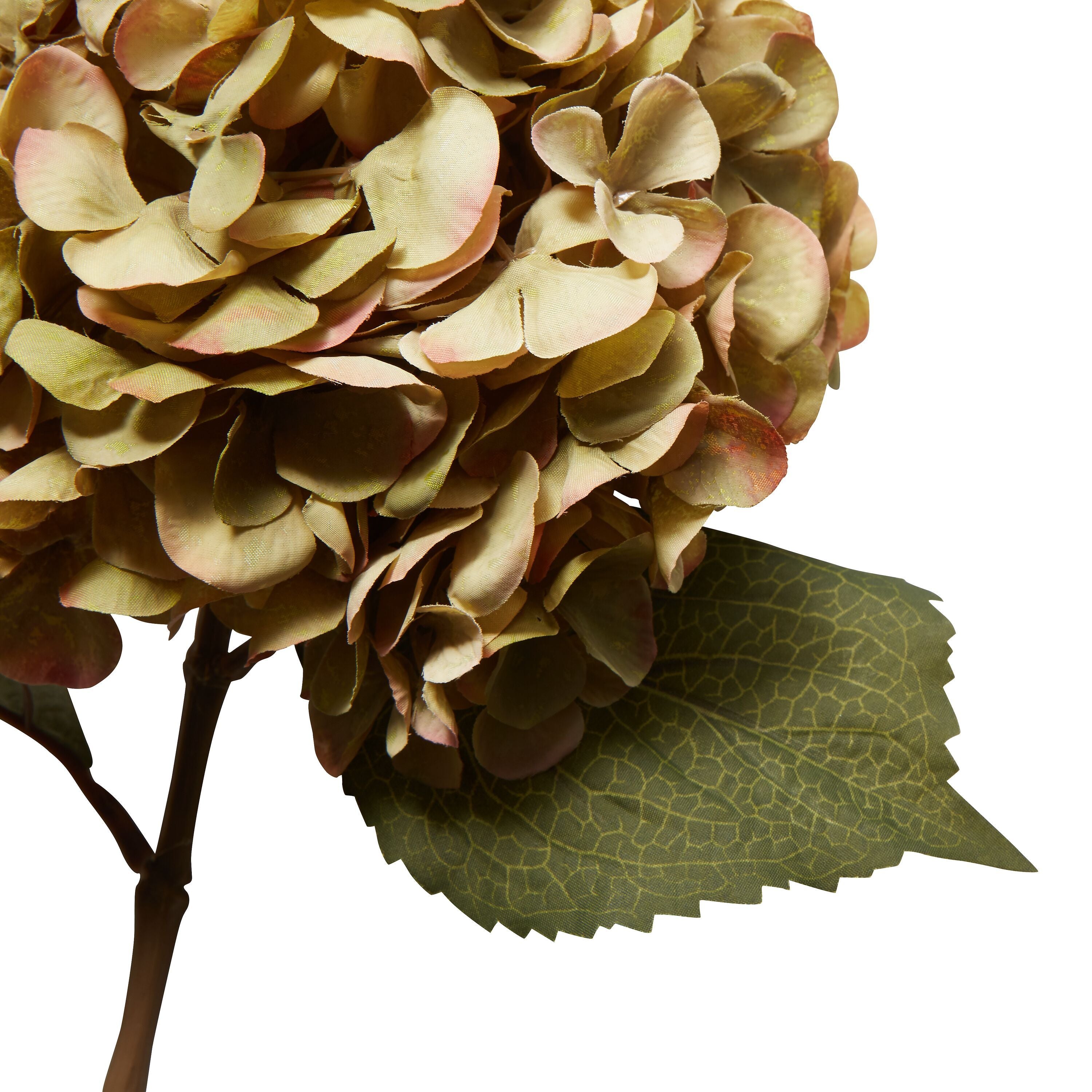 HORTENSIE Kunstpflanze - Grün / H: 65.0 cm