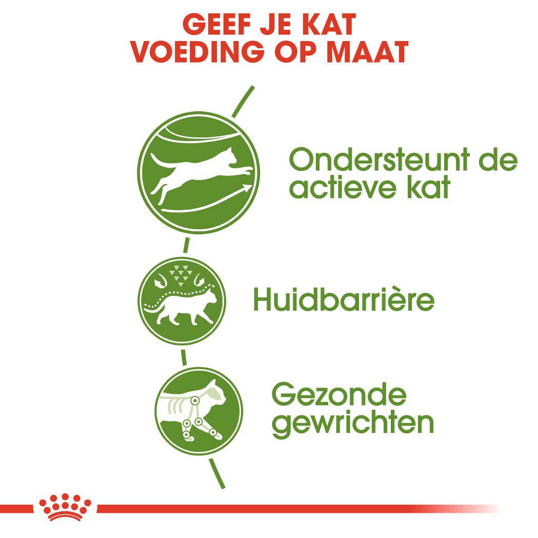 Royal Canin Outdoor 30 - Kattenvoer - 4 Kilogram - Gevogelte
