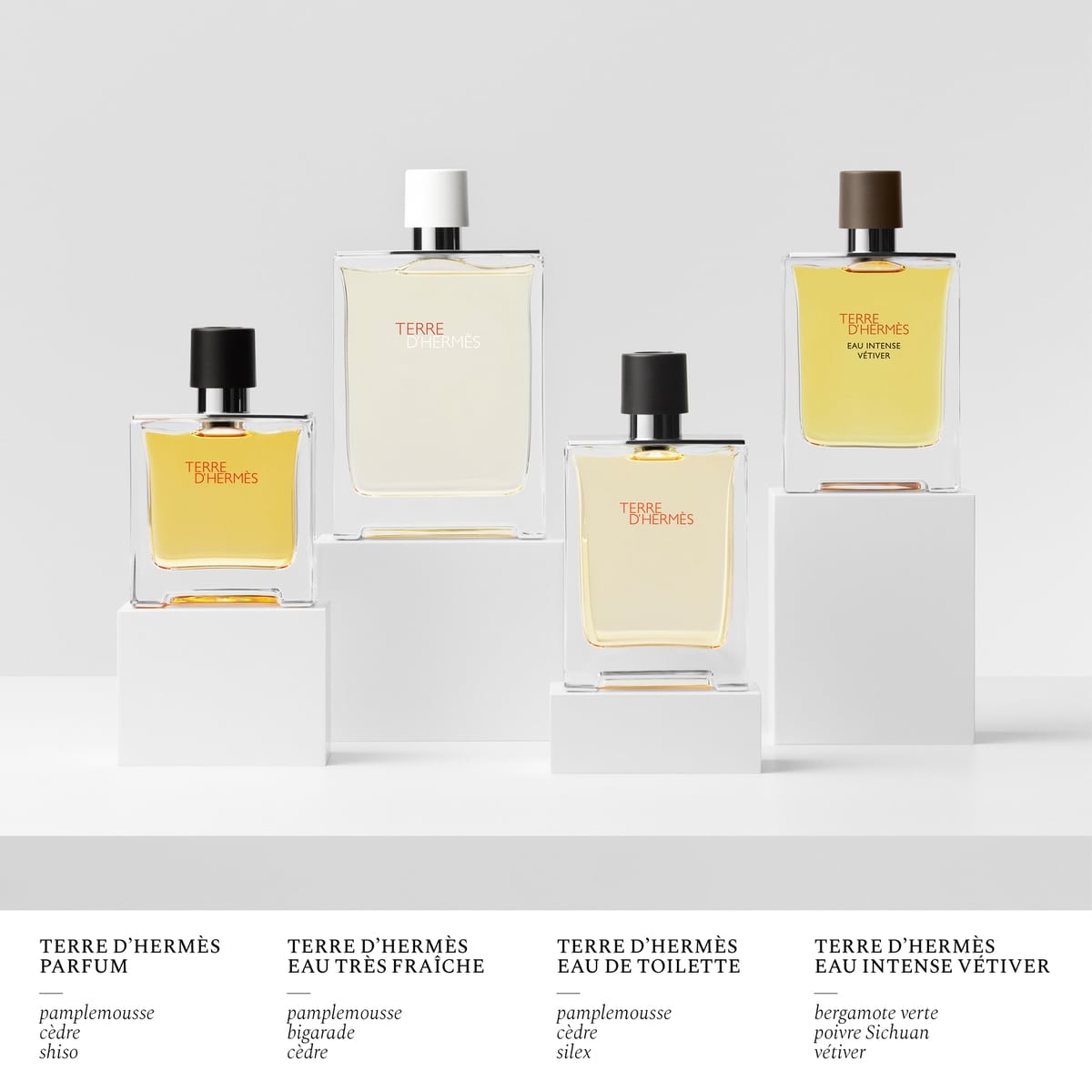 HERMÈS Terre d'HermèsEau Intense Vétiver - Eau de Parfum