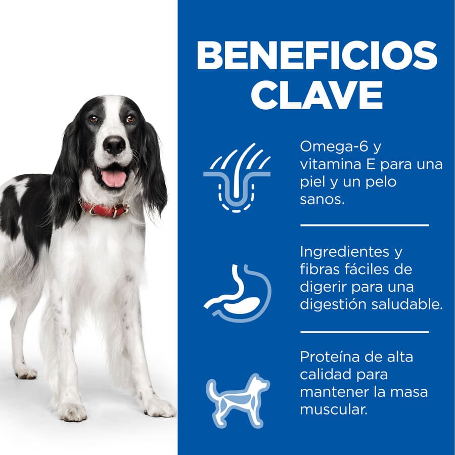 Ração Hill's Science Plan para cães adultos de porte médio com sabor de frango.