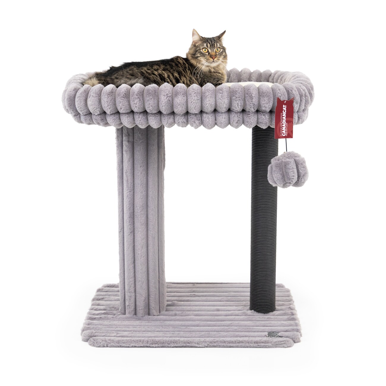Canadian Cat Company Kratzbaum Charlotte