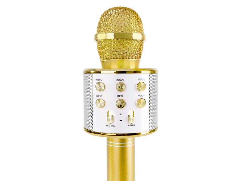MAX Mikrofon KM15G Gold Karaoke Mikrofon mit eingebautem Lautsprecher und LED-Beleuchtung