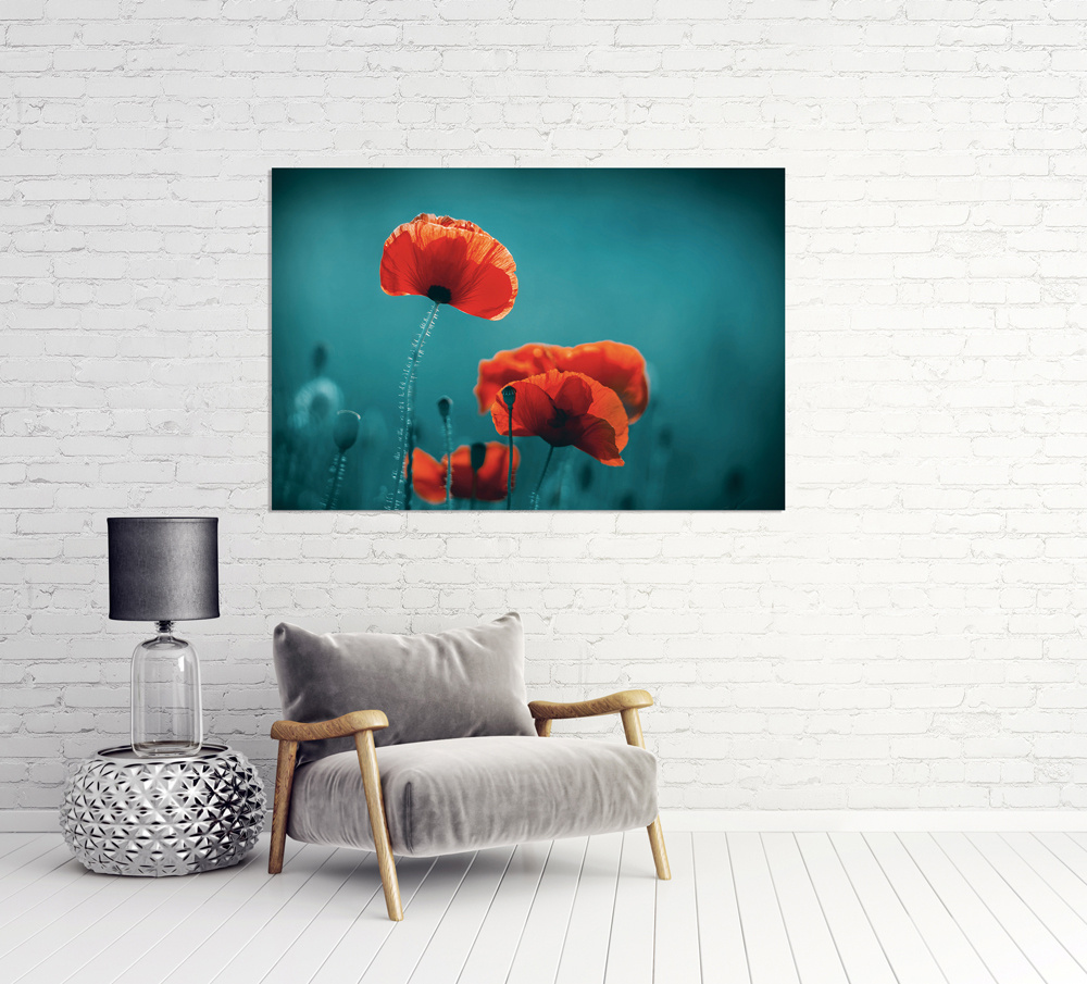 Akustikbild MOHNBLUMEN 5 80x120cm, 7kg