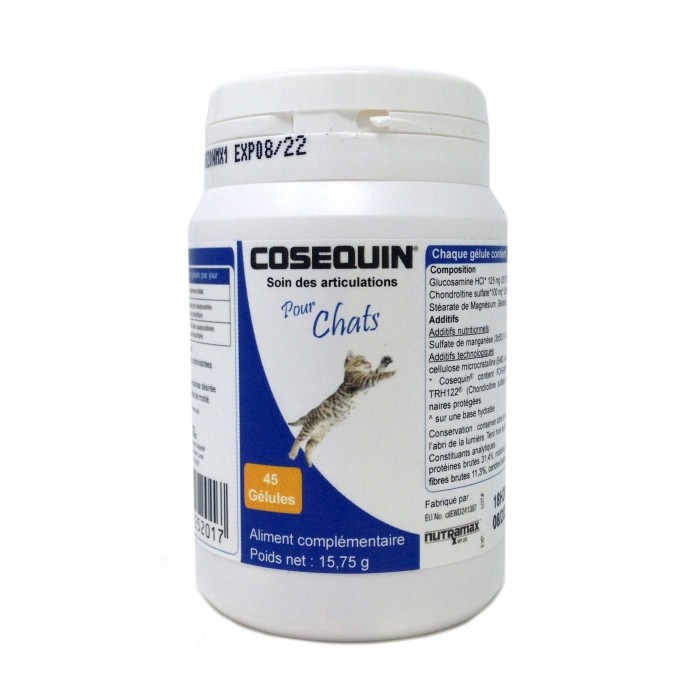 Coséquin