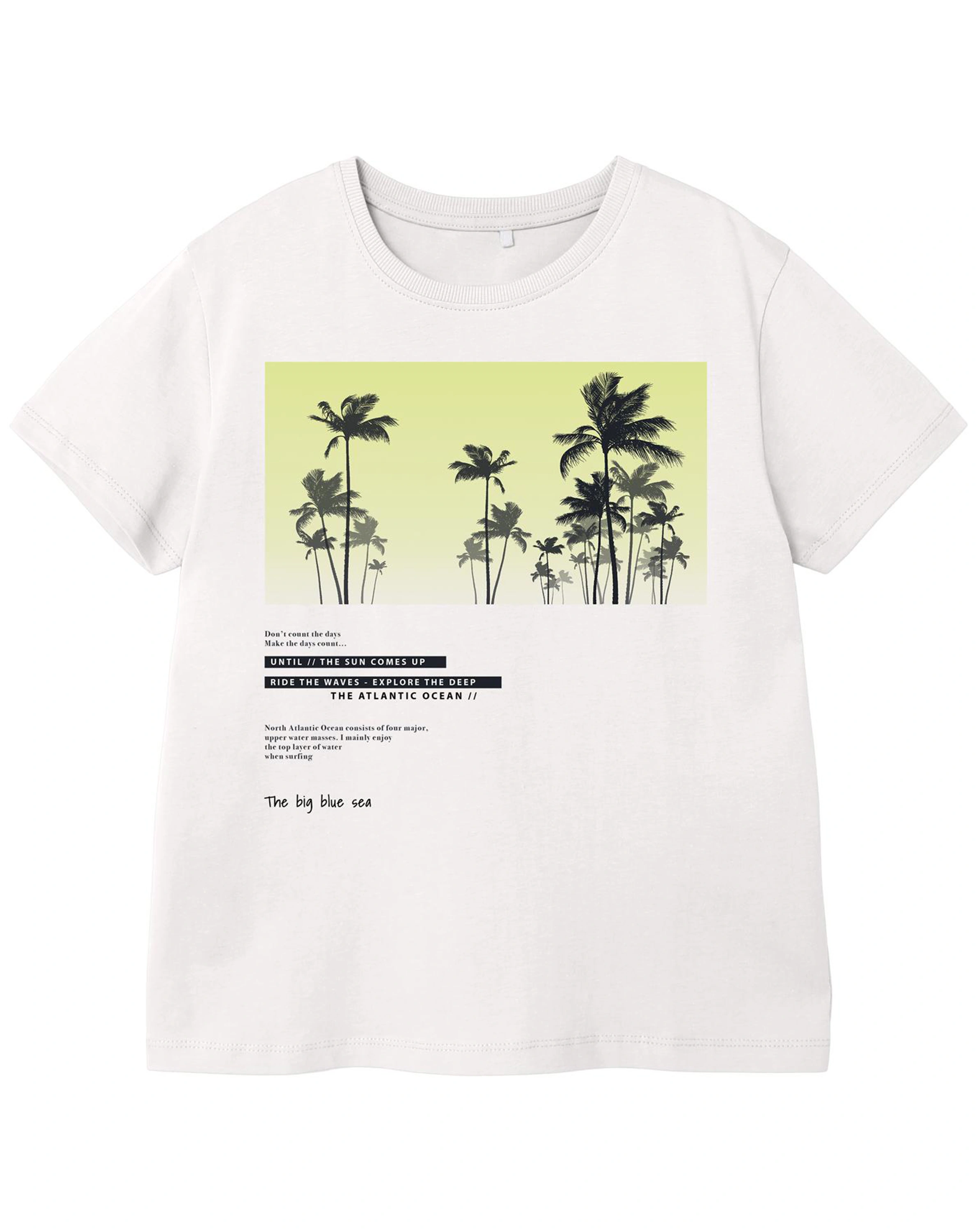 T-Shirt NKMVAGNO in white alyssum