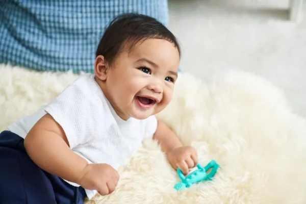 Matchstick Monkey Teether Dinosaur