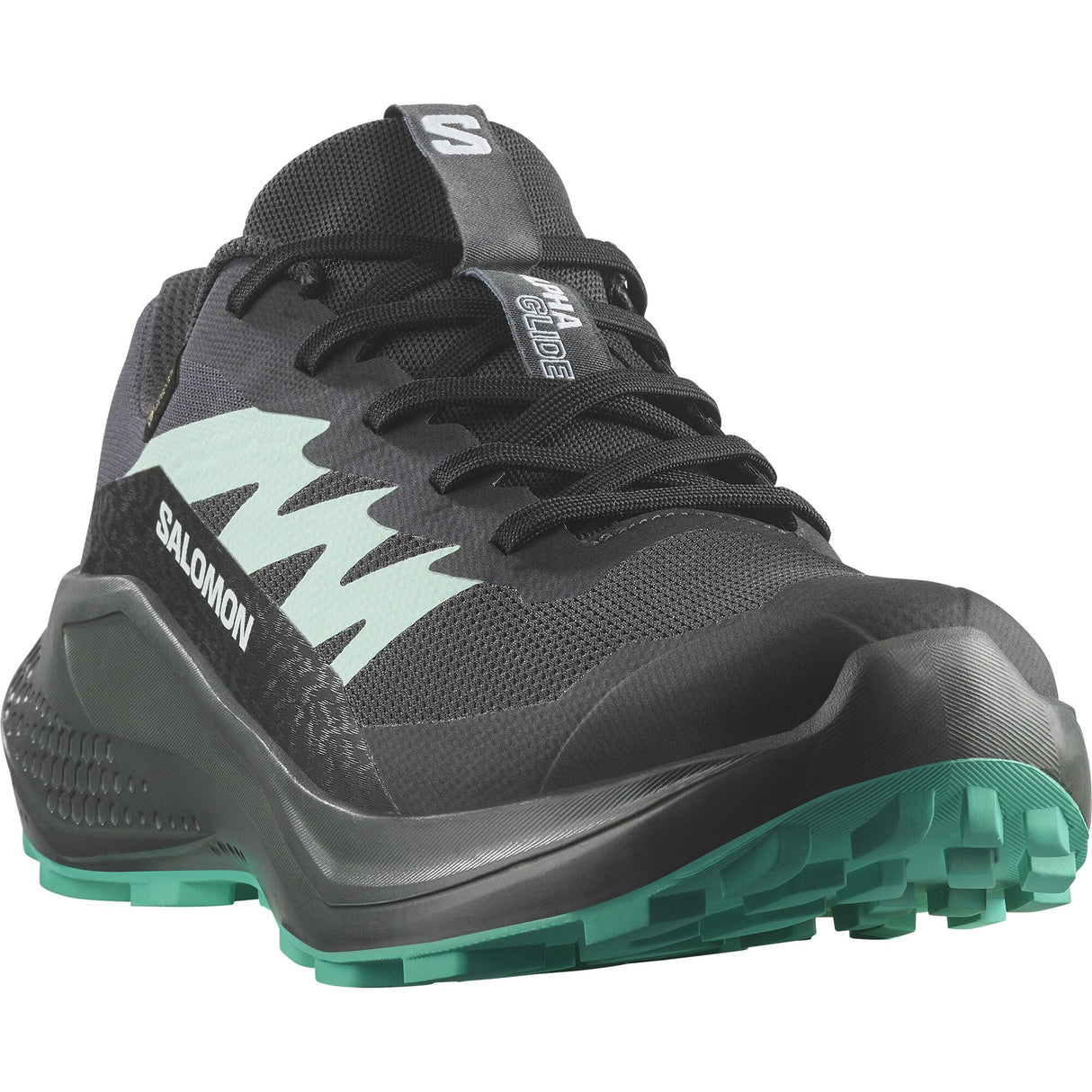 Salomon<br>Alphaglide GTX W