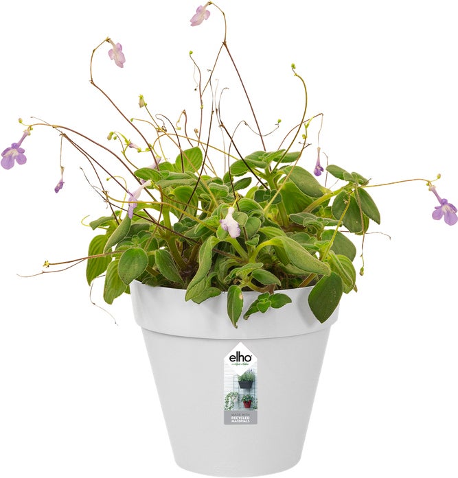 Elho bloempot Loft Urban wit D 15 H 13,5 cm