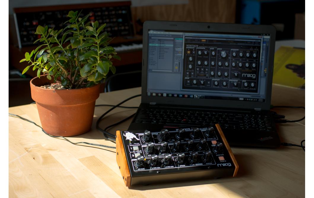 Synthesizer MINITAUR<br>Analoger Bass-Synthesizer