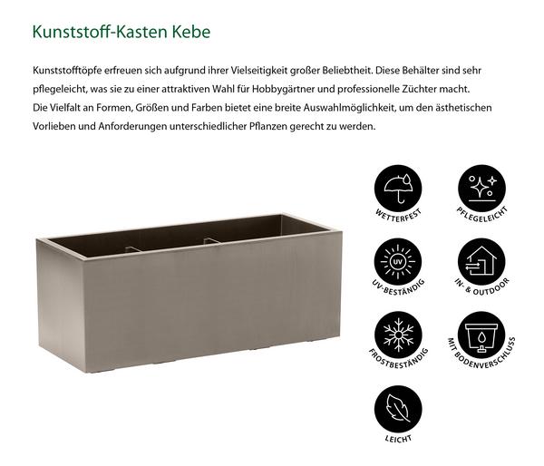 Dehner Kunststoff-Kasten Kebe, rechteckig, ca.