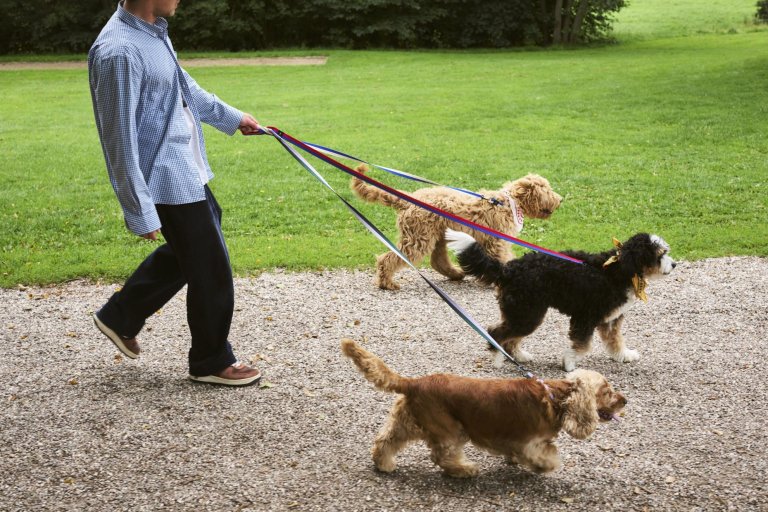 Hay Dogs hondensjaal 55x55 Light Blue