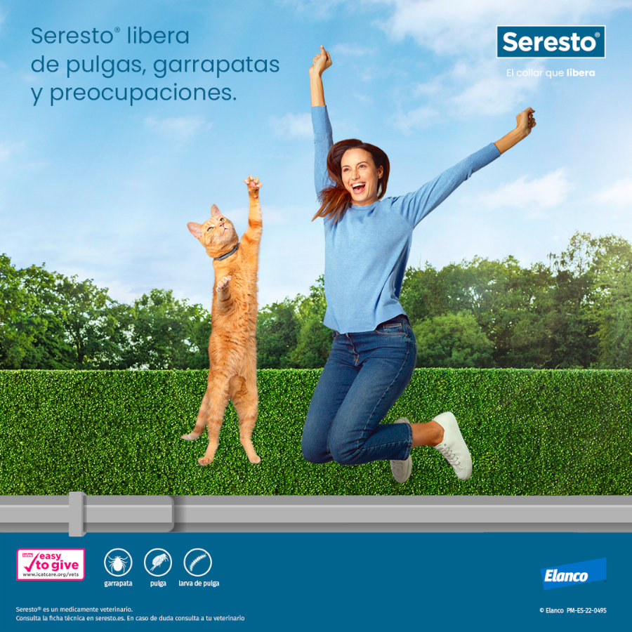 x Seresto Collar Antiparasitario para gatos 38cm - Pack Ahorro