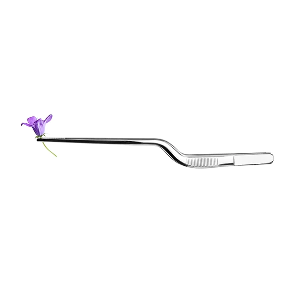 Pince de chef coudée en inox 21 cm Ibili