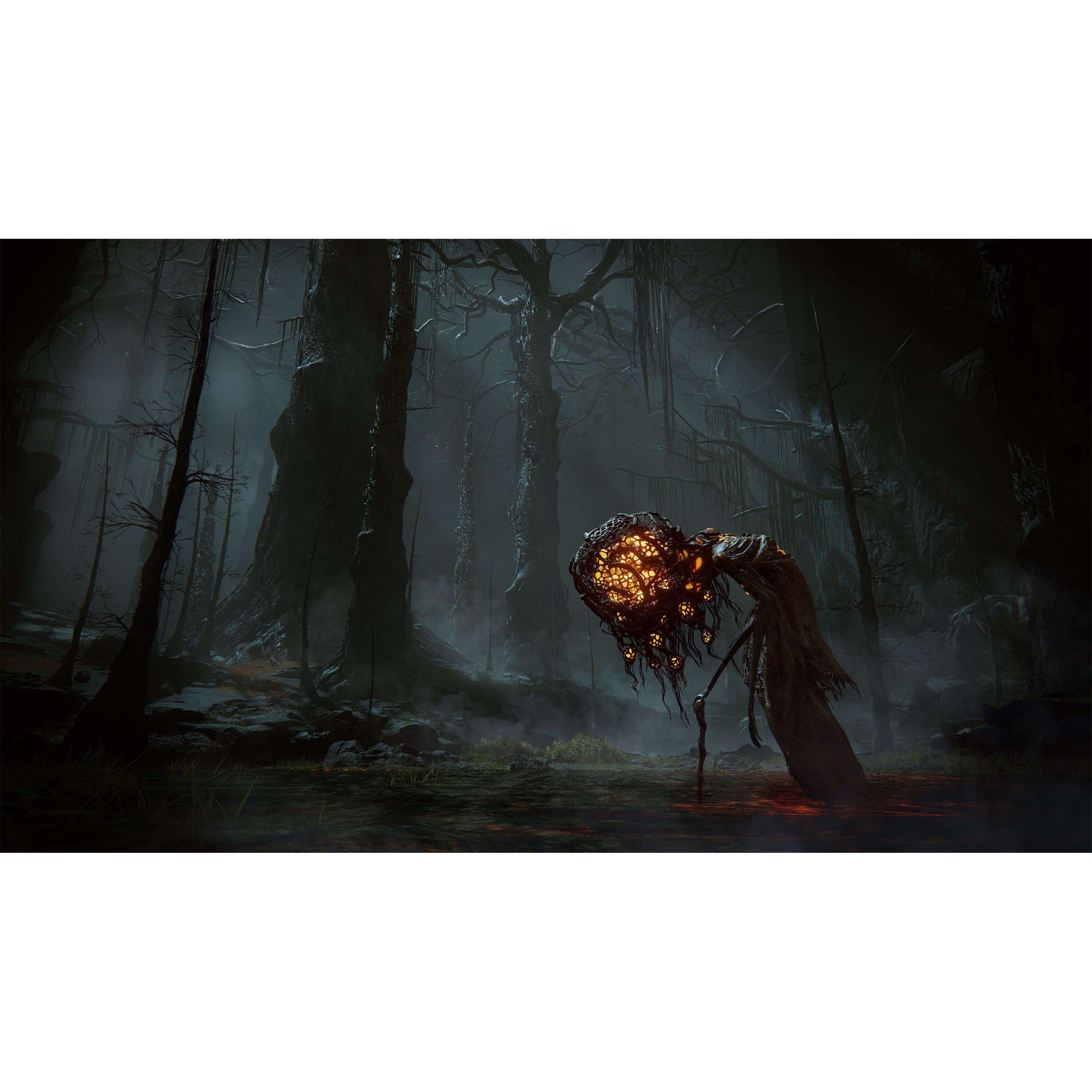Bandai Namco Entertainment GAME Elden Ring: Shadow of the Erdtree Collectors Ed