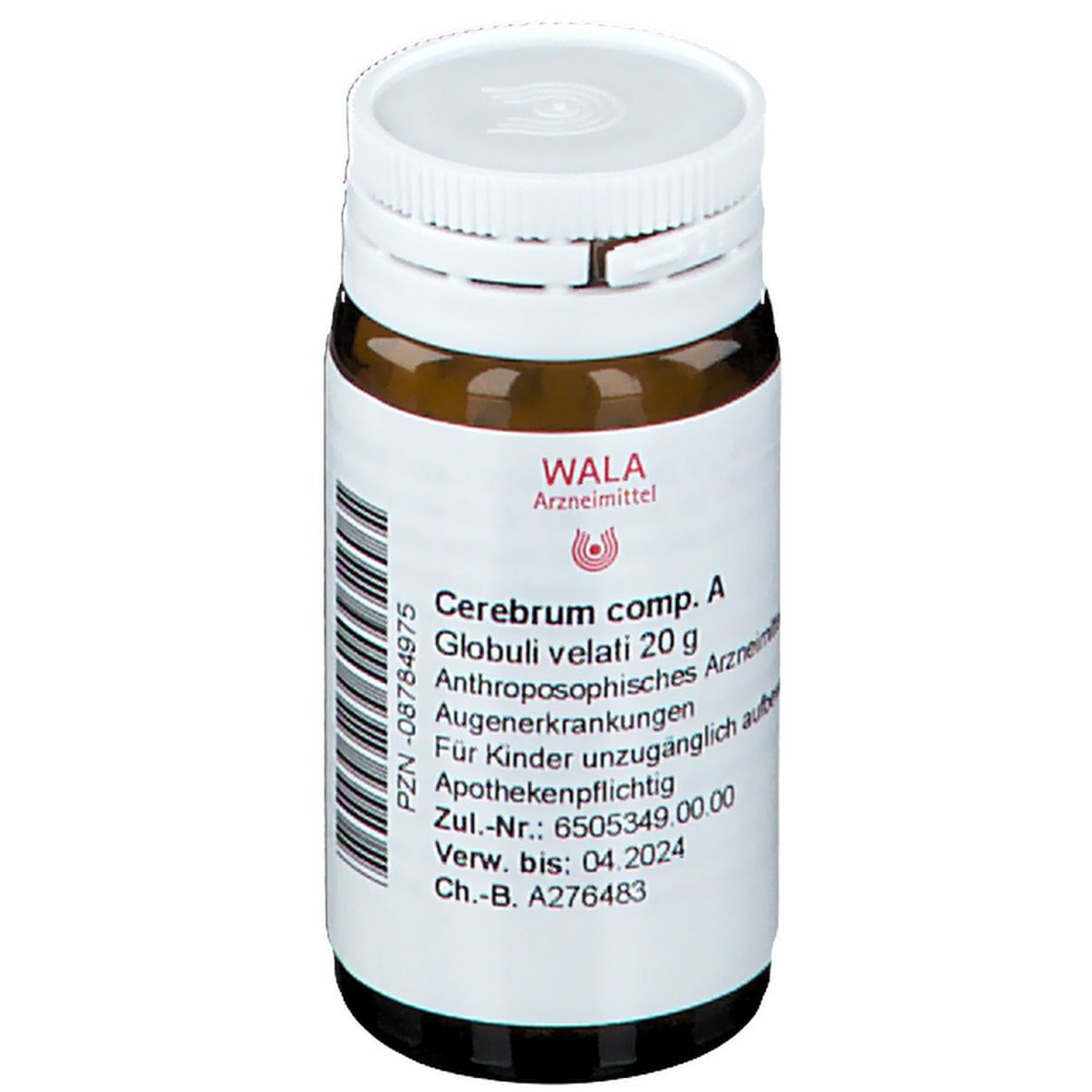 Cerebrum Comp. A Globuli