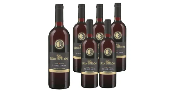 Valais AOC Pinot Noir Fleur du Rhône 6x 75cl (2024) – Rotwein, Schweiz (0.75l)