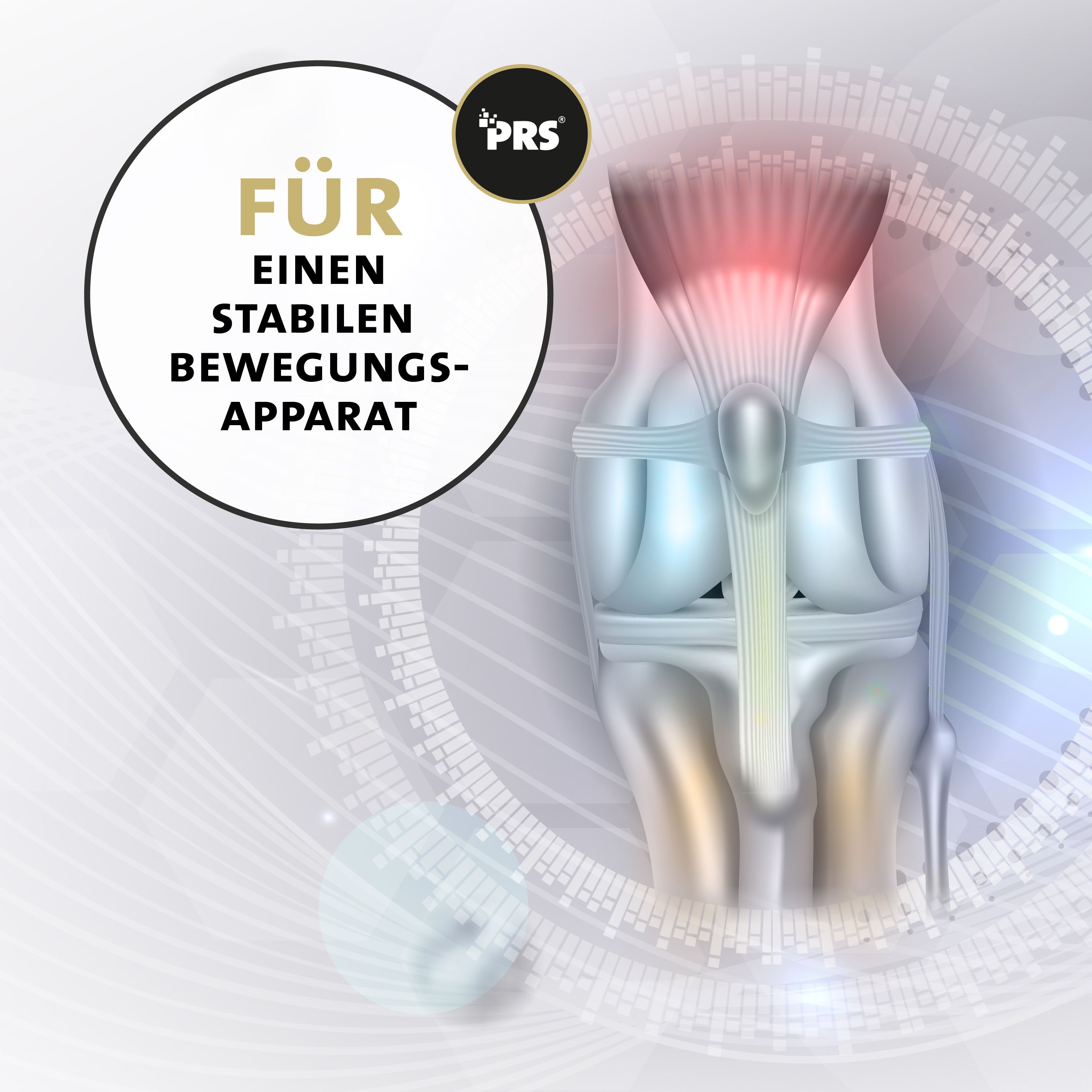 Peticare Gelenk-Kur Pulver für Pferde, unterstützt Gelenke & Sehnen, Knorpel