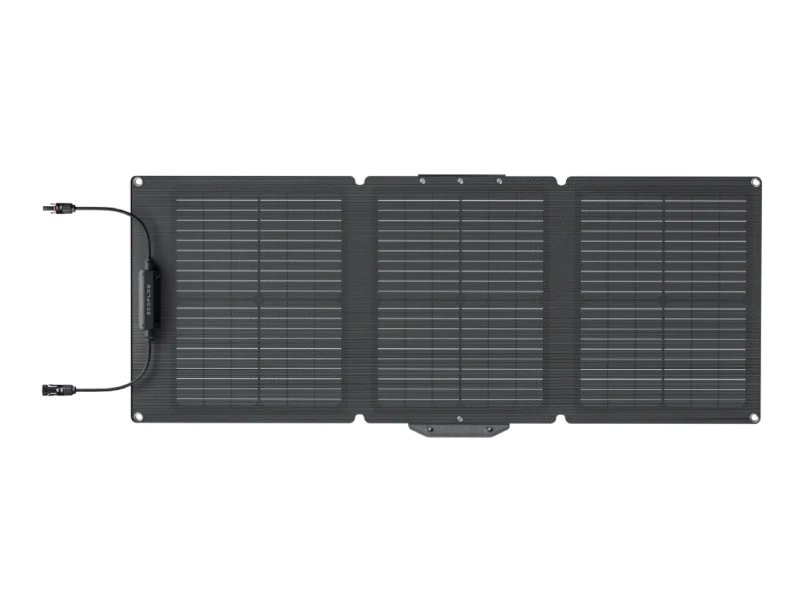 EcoFlow 60 W Tragbares Solarpanel