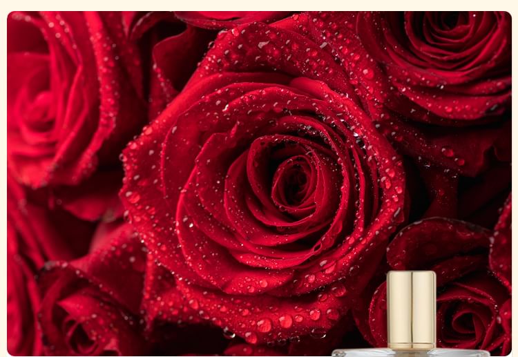 COLORROSE - Tiger Collection Parfum - CR577 ME