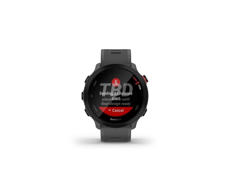 GARMIN Sportuhr Forerunner 55 Grau/Schwarz GPS-Laufuhr