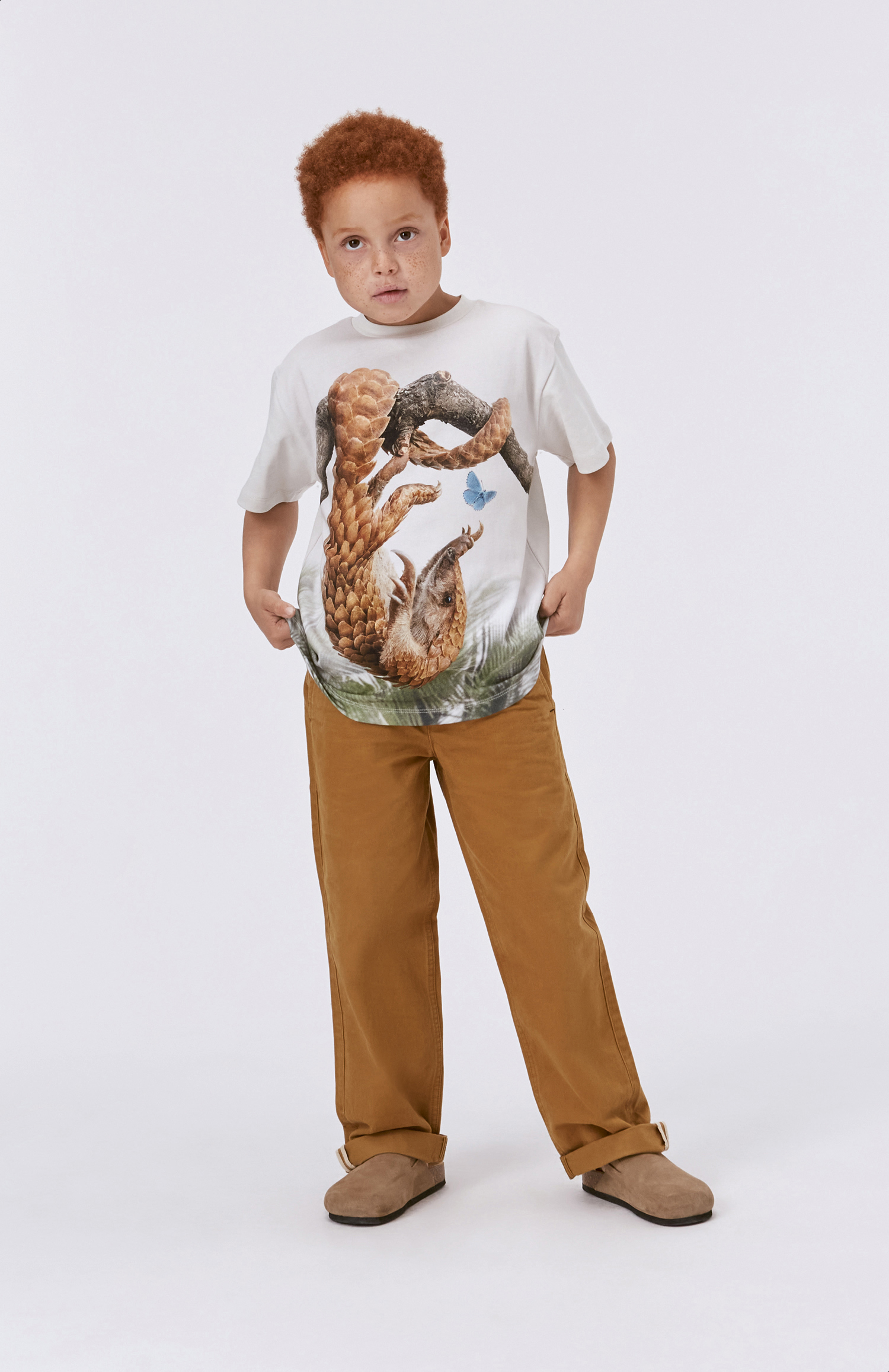 Riley - Pangolin