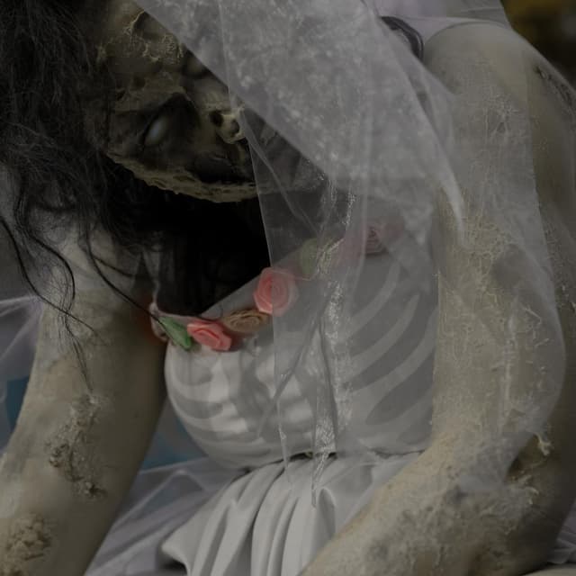 Zombiebrud Halloweenkostume