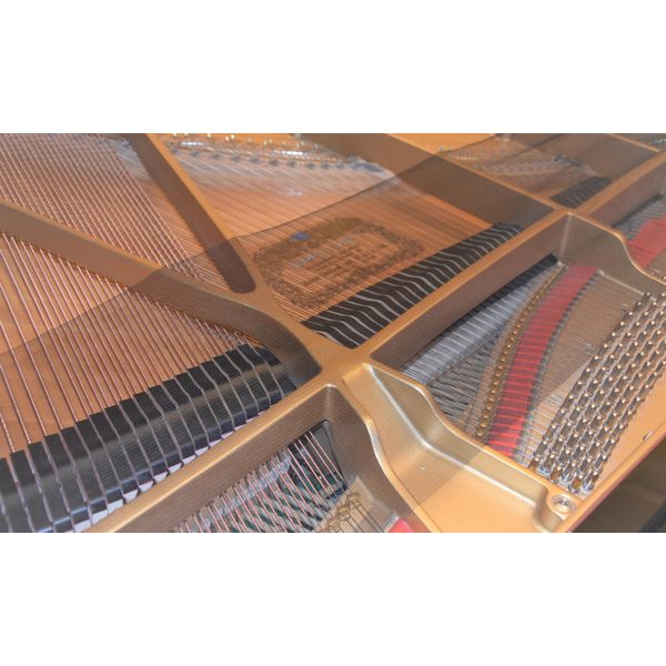 Fontander Piano Net