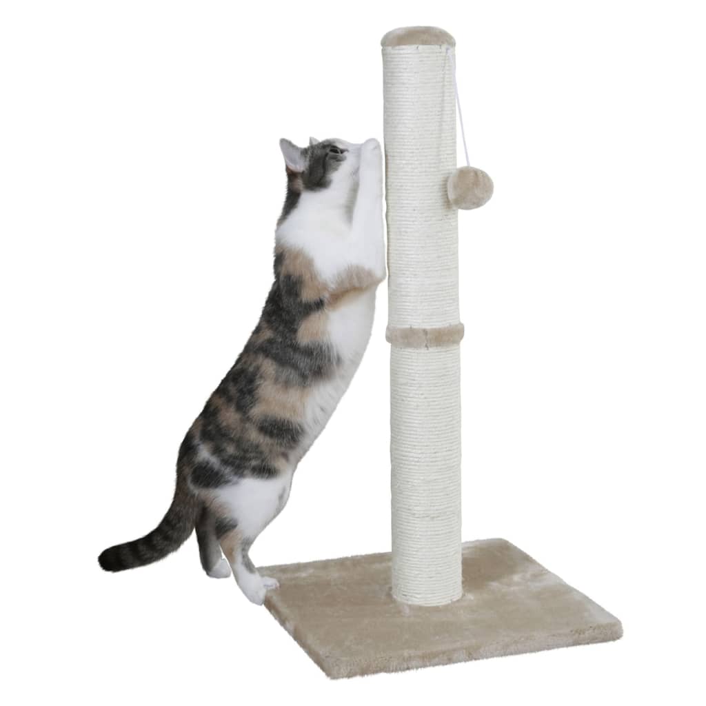 Poste arranhador para gatos