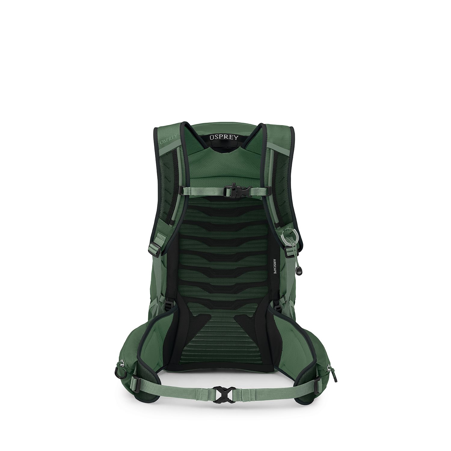Osprey Talon 22 green canopy-pine leaf