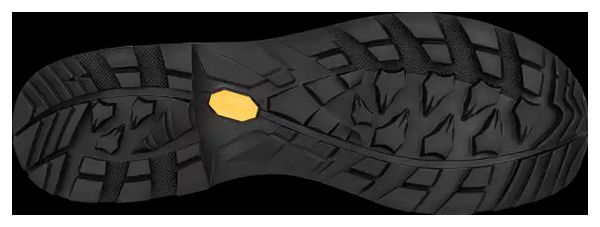 Chaussures de Randonnée Lowa Tibet Evo Gtx Bleu