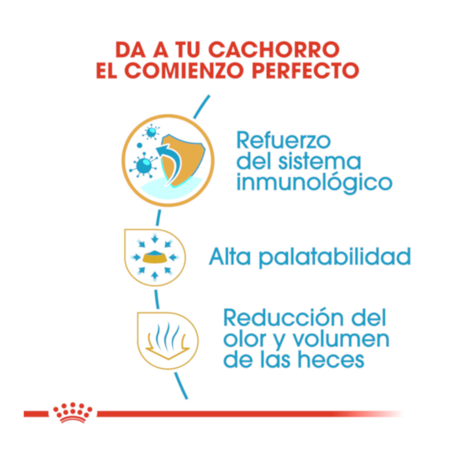 Ração Royal Canin para filhotes de Chihuahua