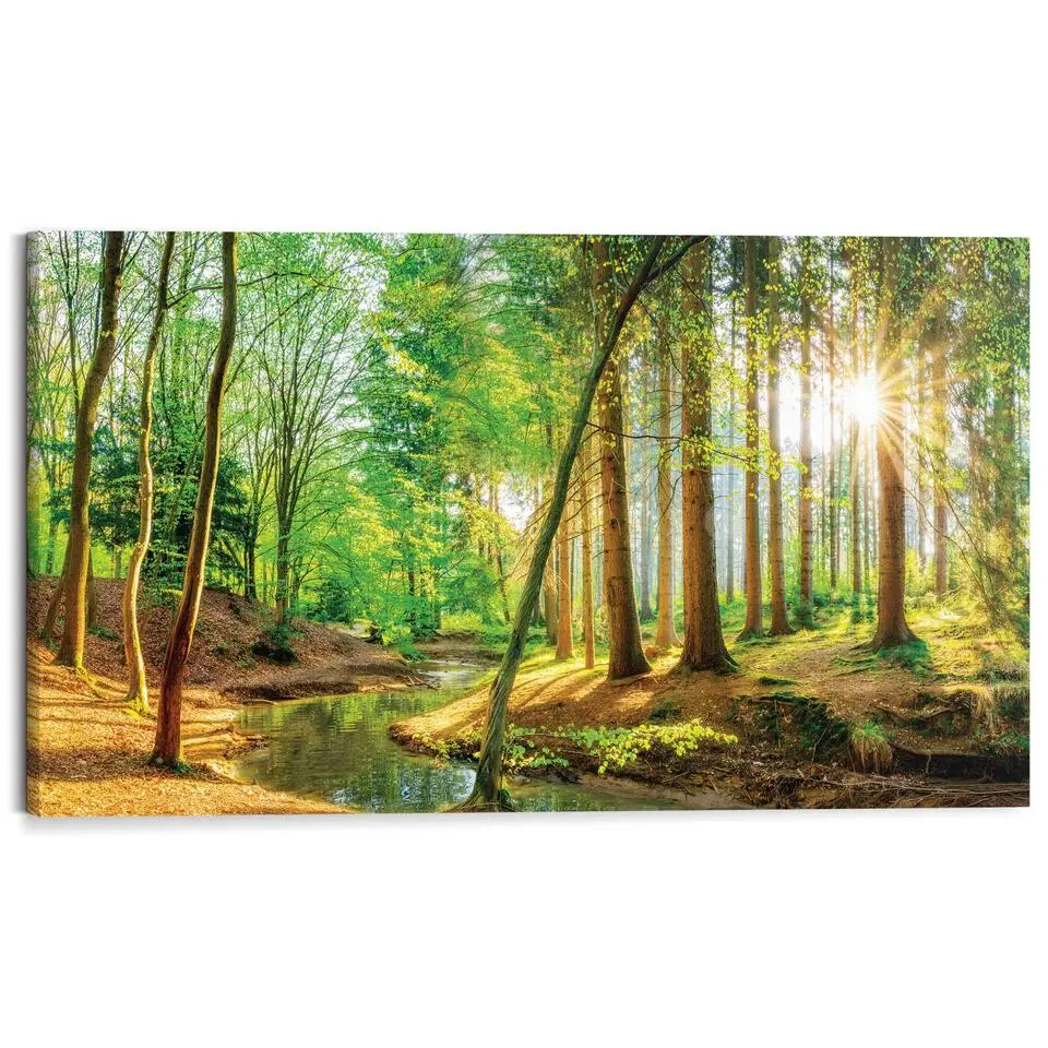 Schilderij Zonnig bos - 70x118cm - Groen
