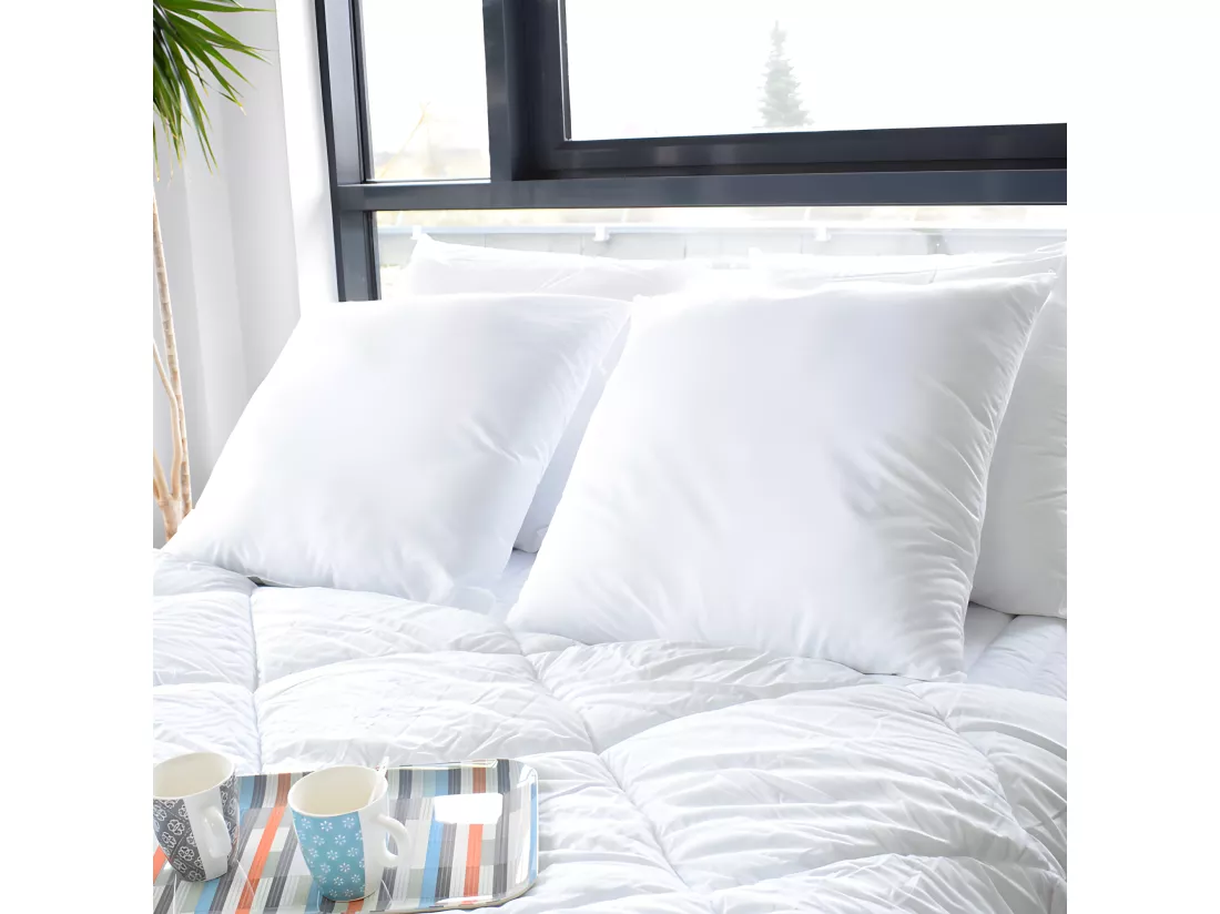 Lot De 2 Oreillers 60 X 60 Cm 