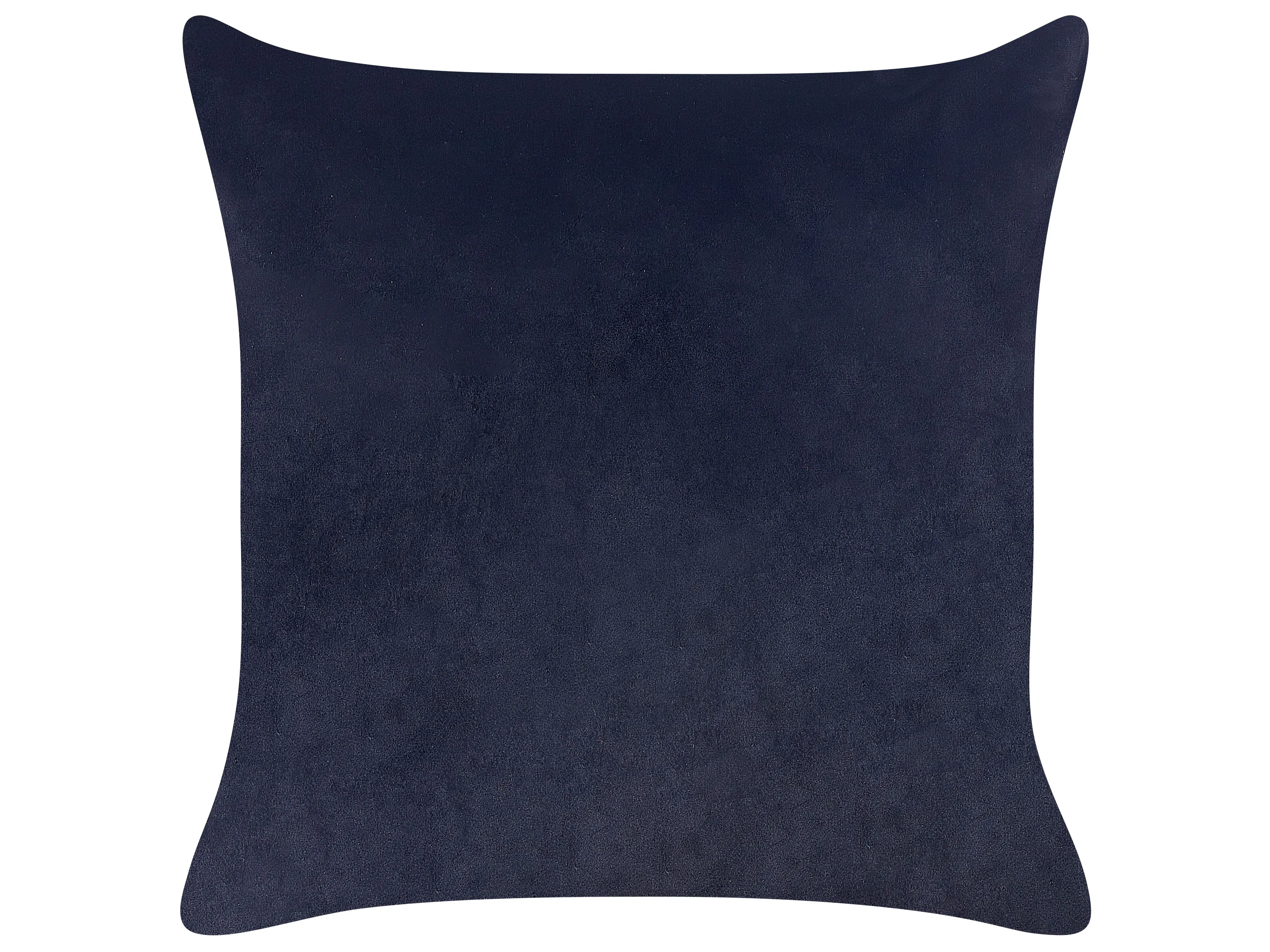 Set van 2 sierkussens GOLDENROD Fluweel 45 x 45 cm Zwart bladpatroon