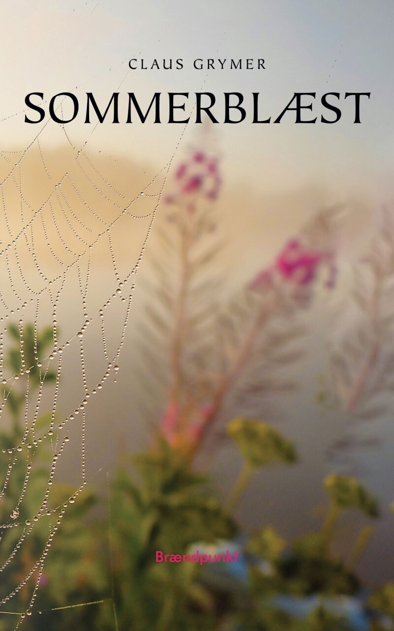 Sommerblæst - Claus Grymer - Bog