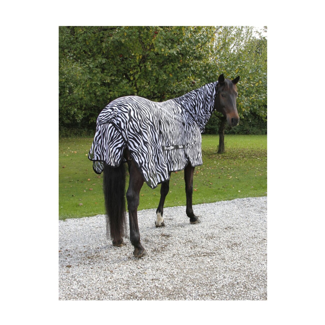 Covalliero Fliegendecke RugBe Zebra 1,95 m