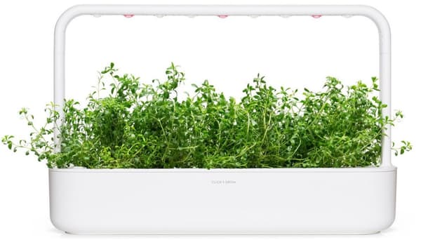 Click & Grow Smart Garden refill Mountain Savory 3pcs