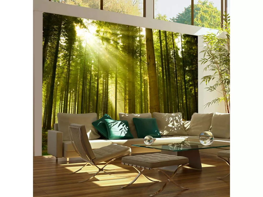 Papier peint forêt de pins - 350 x 270 cm